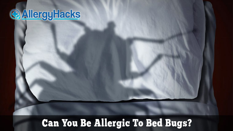 bed-bug-allergy